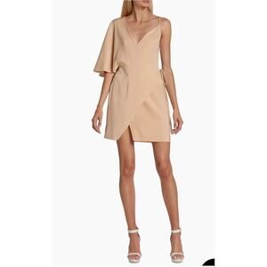 KIMBERLY GOLDSON NWT Laurel One-Shoulder Minidress in Bone. Size Small